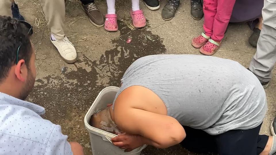 PANDEMİDE NİKAHLANAN ÇİFTİN DÜĞÜN HAYALİ 5 YIL SONRA GERÇEK OLDU NİKAHLARI SESSİZDİ, DÜĞÜNLERİ İSE DAVULLU-ZURNALI "NİKAHIMIZA ANNE-BABAMIZ BİLE GELEMEMİŞTİ"