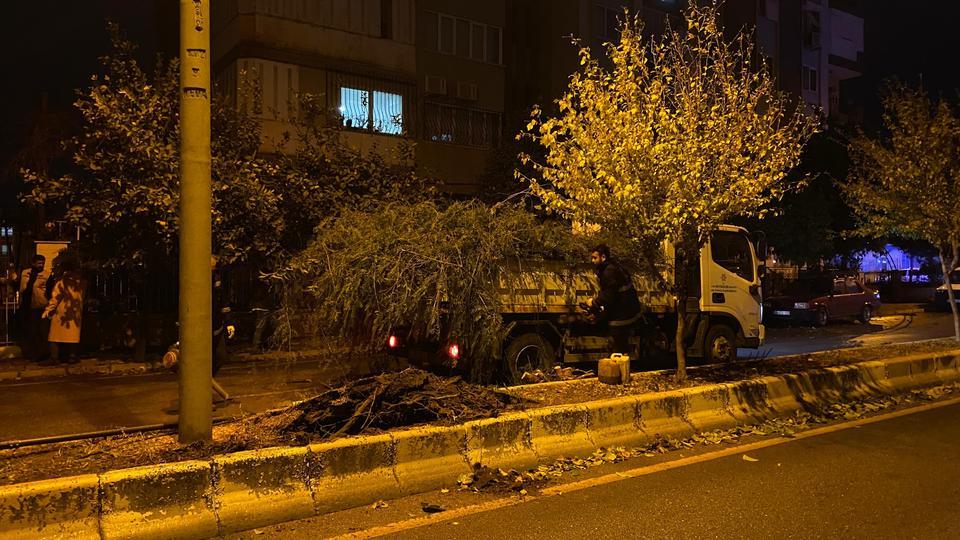 DEVRİLEN AĞAÇ YOLU TRAFİĞE KAPATTI