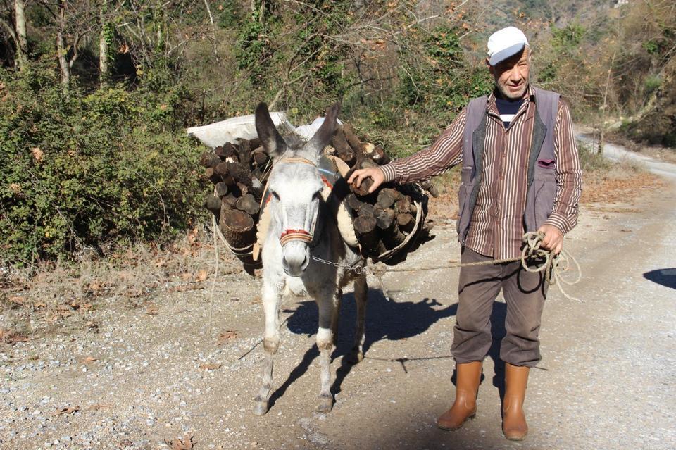 ARAÇ KULLANAMADIĞI İÇİN EŞEKLE YÜK ÇEKİYOR ÇİFTÇİ AYDINLI, GELİŞEN TEKNOLOJİYE RAĞMEN GELENEKSEL YÖNTEMLERDEN VAZGEÇMİYOR