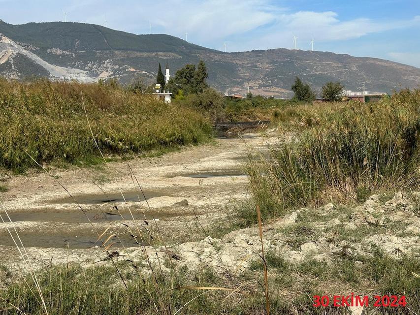 AZMAKLAR KURUDU, SAZLIKLAR YANDI SÖKE OVASI'NDA İKLİM DEĞİŞİKLİĞİNİN ETKİLERİ GÖZLE GÖRÜLÜR HALE GELDİ