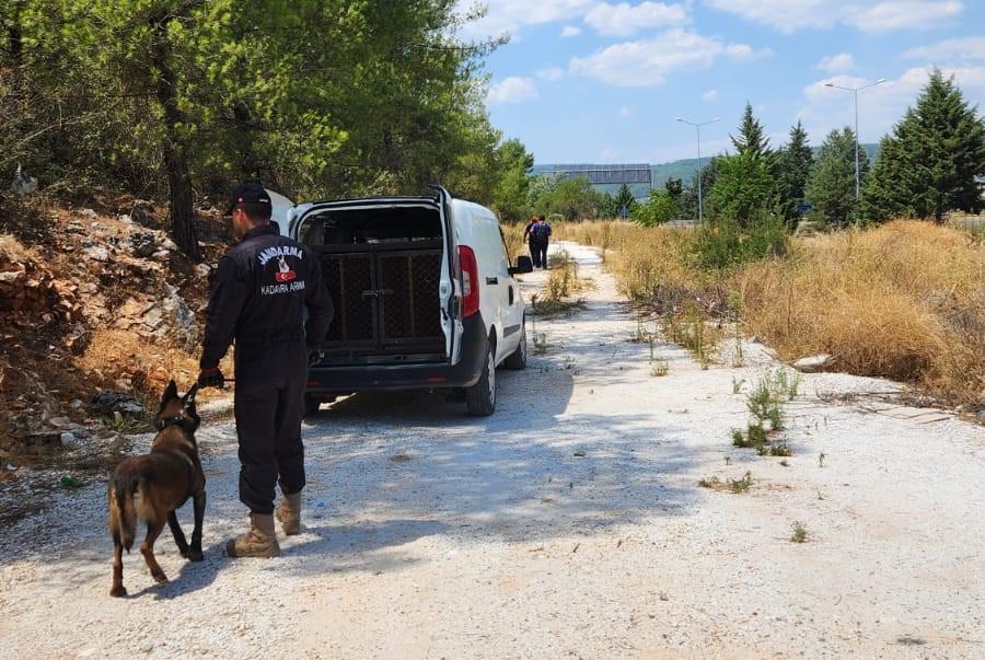 KAYBOLAN ALZHEİMER HASTASI KADINI ARAMA ÇALIŞMALARI DEVAM EDİYOR