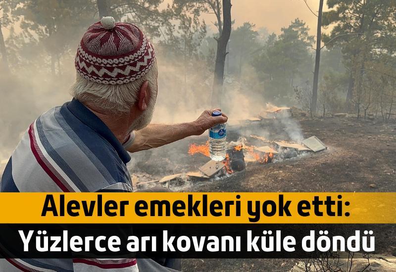 Alevler emekleri yok etti: Yüzlerce arı kovanı küle döndü