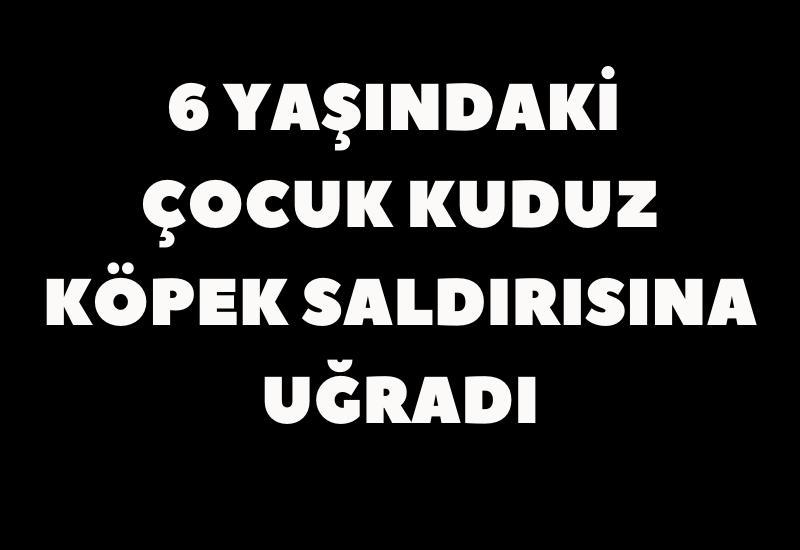 6 yaşındaki çocuk kuduz köpek saldırısına uğradı