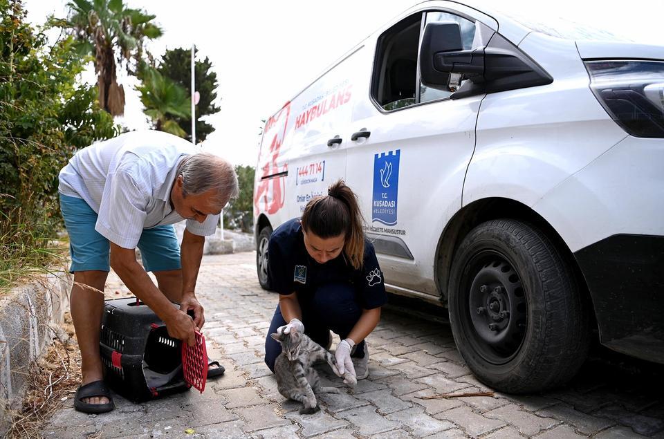 Kuşadası Belediyesi’nin Haybulans araçları can dostlara umut oldu