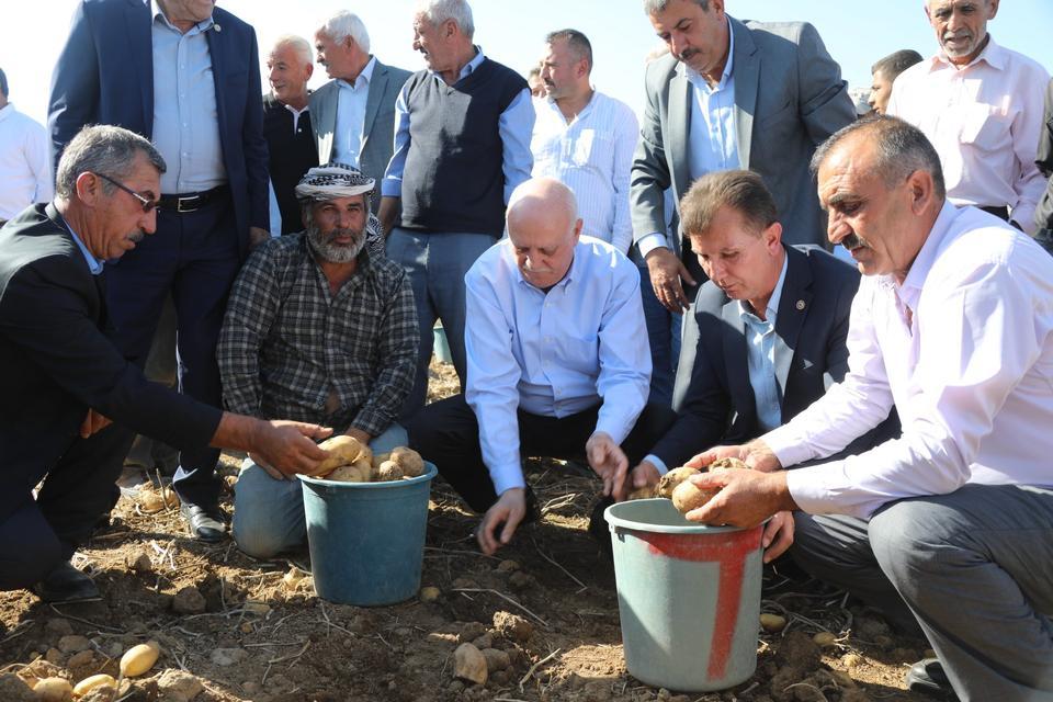 TZOB Genel Başkanı Bayraktar patates ve soğan hasadına katıldı