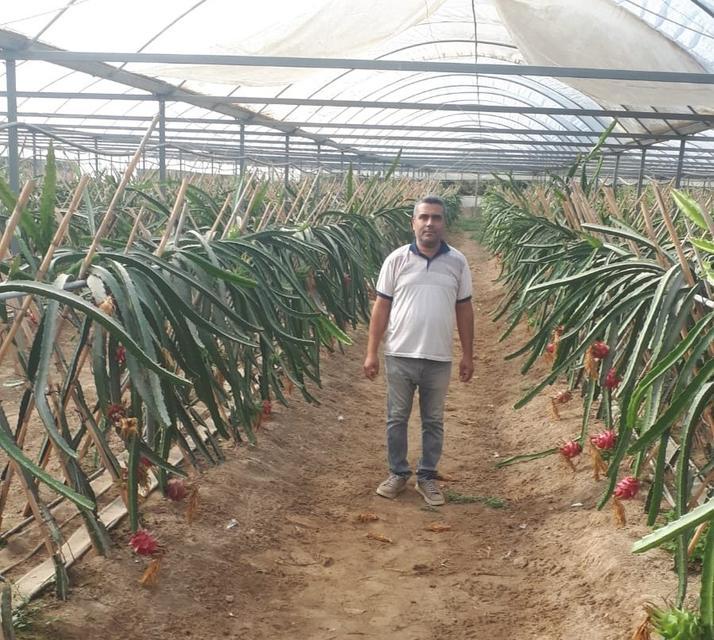 KÜRESEL ISINMA AYDIN'DA FIRSATA DÖNÜŞÜYOR KAYMAKAM GİTTİ PROJESİ TÜM İLE YAYILMAYA BAŞLADI