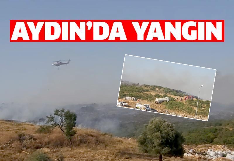 Aydın'daki yangın havadan söndürülmeye çalışılıyor