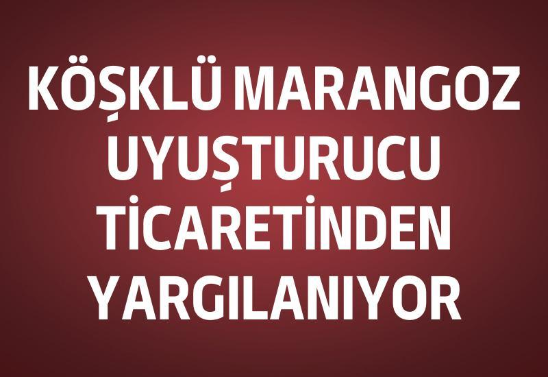 Köşklü marangoz uyuşturucu ticaretinden yargılanıyor