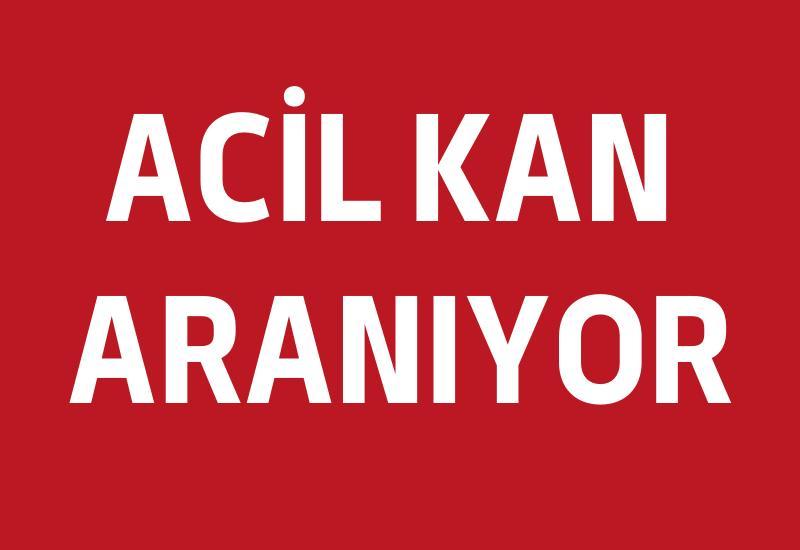 AYDIN'DA KAN ARANIYOR