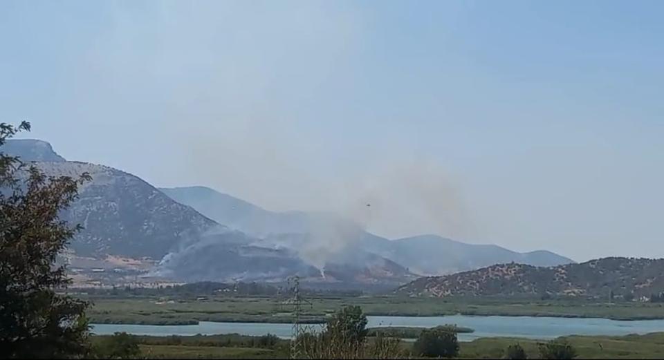 SELÇUK'TAKİ ORMAN YANGININA HAVADAN VE KARADAN MÜDAHALE