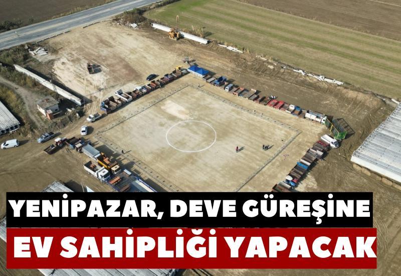 Yenipazar, deve güreşine ev sahipliği yapacak