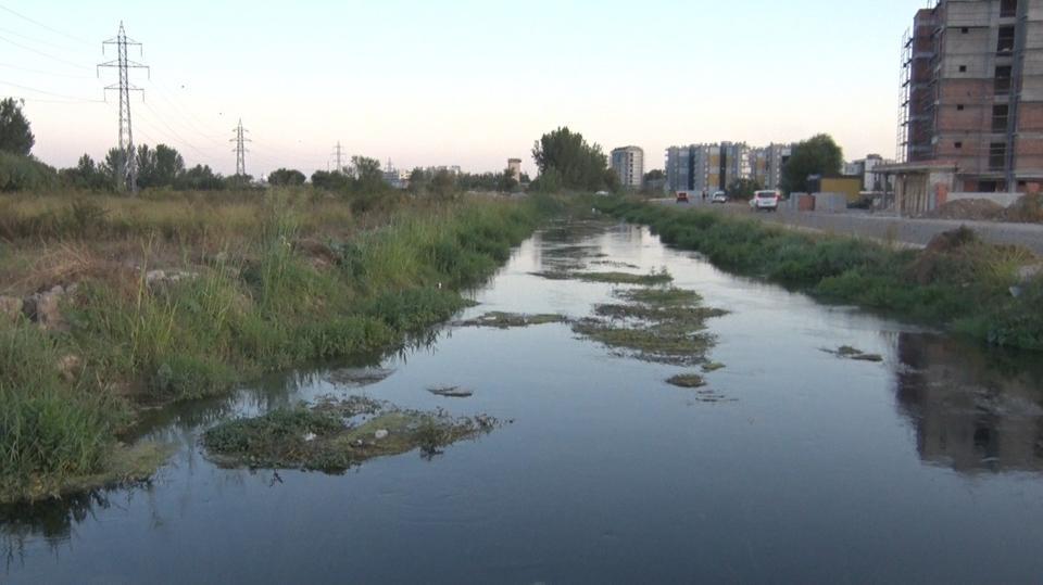 Kanal kenarında 10 günlük ceset bulundu