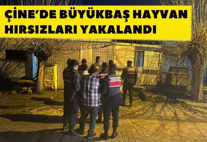 Çine’de büyükbaş hayvan hırsızları yakalandı