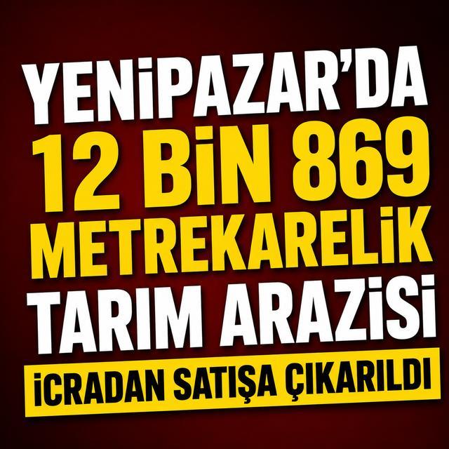 Yenipazar’da 12 bin 869 metrekarelik tarım arazisi icradan satışa çıkarıldı