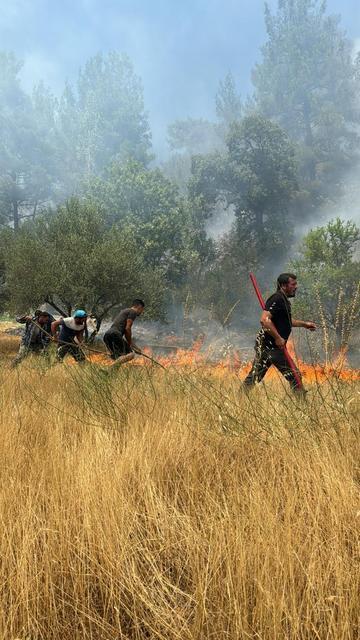 KUYUCAK'TAKİ ORMAN YANGINI KONTROL ALTINA ALINDI