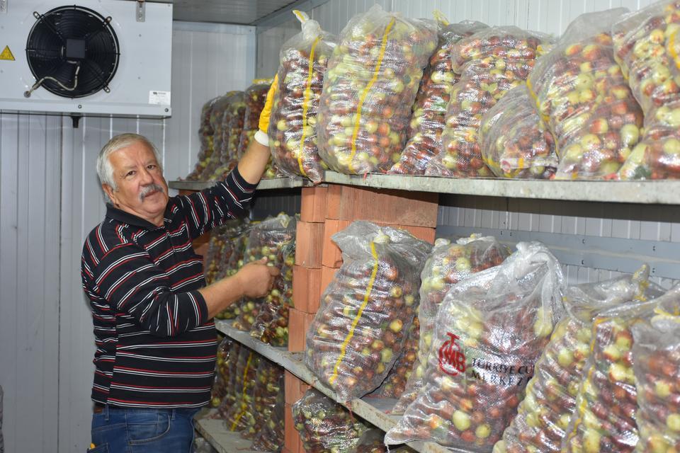 Emekli öğretmen çift, hünnap üretimini yaygınlaştırmaya çalışıyor