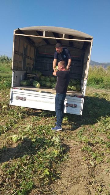 GERMENCİK BELEDİYESİ, VATANDAŞLARA 2 KAMYON KARPUZ DAĞITTI BELEDİYEYE BAĞIŞLANAN KARPUZLAR VATANDAŞLARA DAĞITILDI