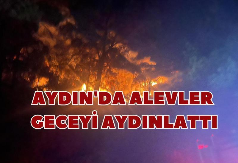 Aydın'da alevler geceyi aydınlattı