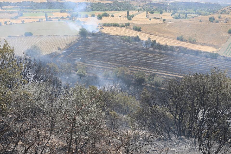 Yangınlar devam ediyor: 100 dönüm arazi küle döndü