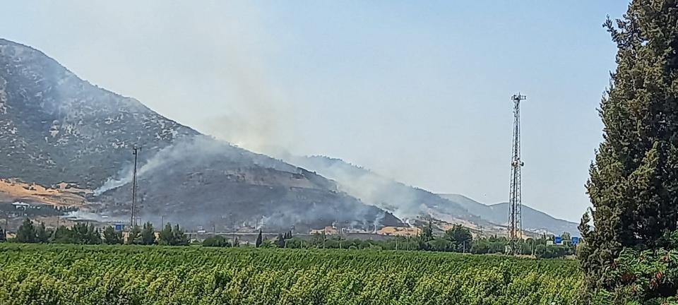 SELÇUK'TAKİ ORMAN YANGININA HAVADAN VE KARADAN MÜDAHALE