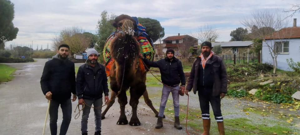 Burunköy, güreş deveciliğinin yeni merkezi oluyor