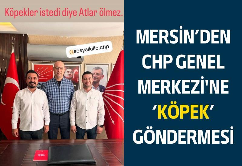 Mersin'den CHP Genel Merkezi'ne 'köpek' göndermesi