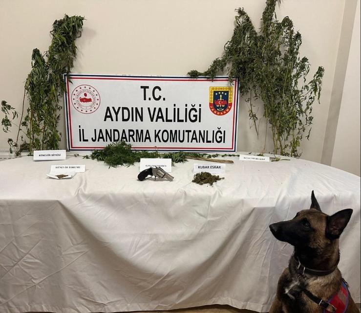 Koçarlı'da uyuşturucu operasyonu