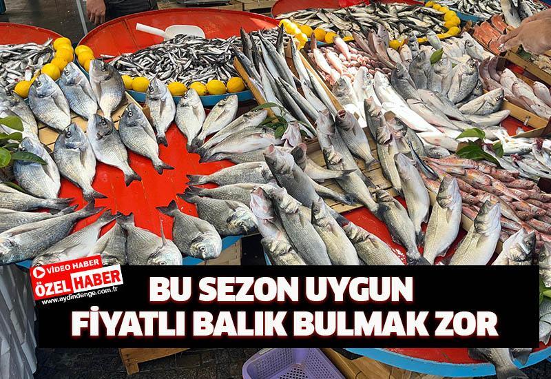 Bu sezon uygun fiyatlı balık bulmak zor