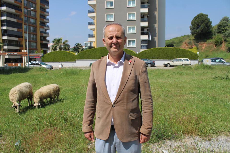 MAHALLE SAKİNLERİ BAŞIBOŞ KÖPEKLERDEN TEDİRGİN SİTE GÖREVLİSİ ŞEREF ÇATAL: "ÇİĞ ETLE BESLEDİKLERİ İÇİN BU KÖPEKLER SALDIRGANLAŞIYOR"