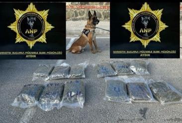 Aydın'da 13 kilo skunk ele geçirildi