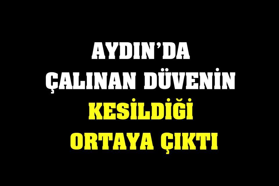 Aydın’da çalınan düvenin kesildiği ortaya çıktı