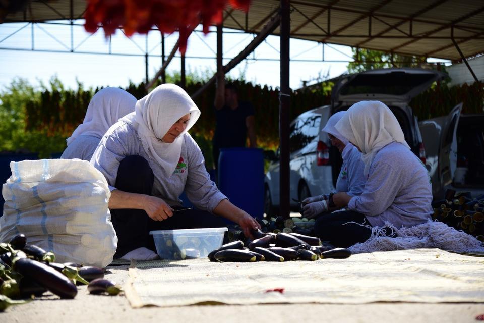 PATLICAN VADİSİ'NDEN DÜNYA SOFRALARINA