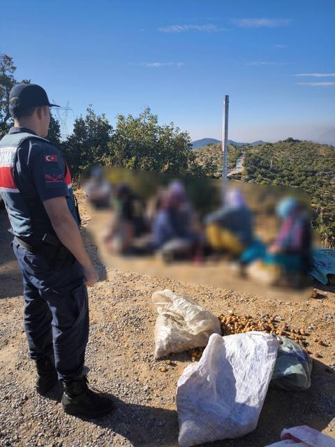 Aydın’da yarım ton incir çalan şüpheliler yakalandı