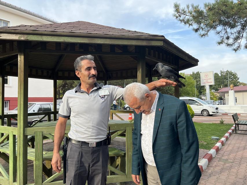 BU KARGA HER GÜN MESAİ YAPIYOR SİVAS SAĞLIK İL MÜDÜRLÜĞÜNÜN MASKOTU HALİNE GELEN KARGA, KURUMA PERSONELLE GELİP PERSONELLE AYRILIYOR