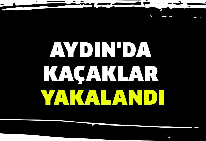Aydın'da kaçaklar yakalandı