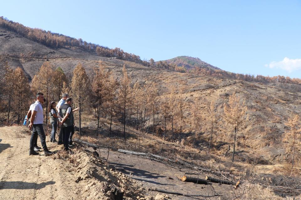 BOZDOĞAN'DA YANAN ORMANLIK ALANDA İNCELEMELERDE BULUNULDU