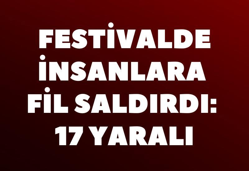 Festivalde insanlara fil saldırdı: 17 yaralı