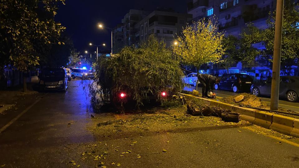 Aydın'da devrilen ağaç yolu trafiğe kapattı