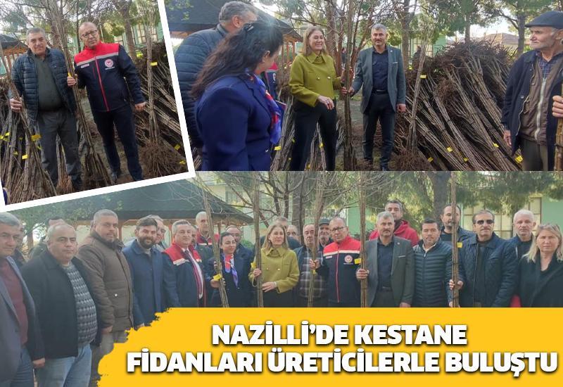 Nazilli’de kestane fidanları üreticilerle buluştu