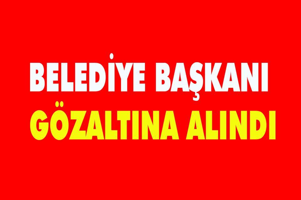 Belediye Başkanı gözaltına alındı