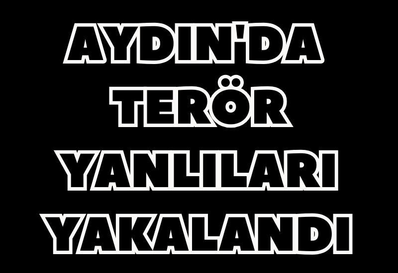 Aydın'da terör yanlıları yakalandı