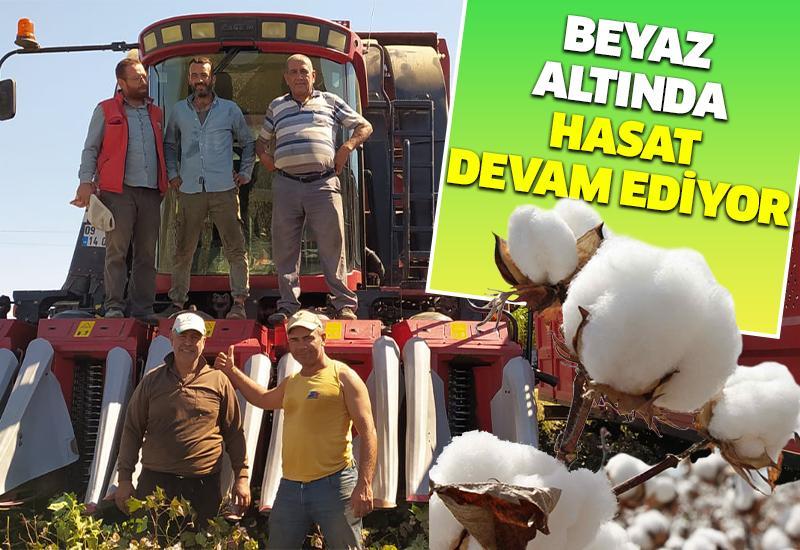 Beyaz altında hasat devam ediyor