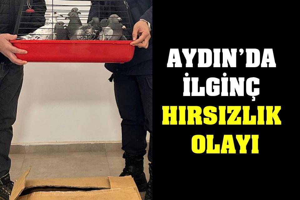 Aydın’da ilginç hırsızlık olayı