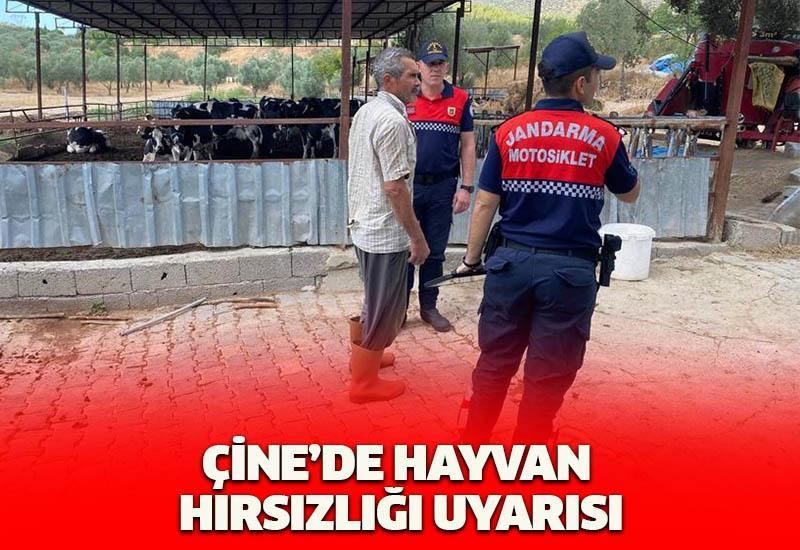 Çine’de hayvan hırsızlığı uyarısı