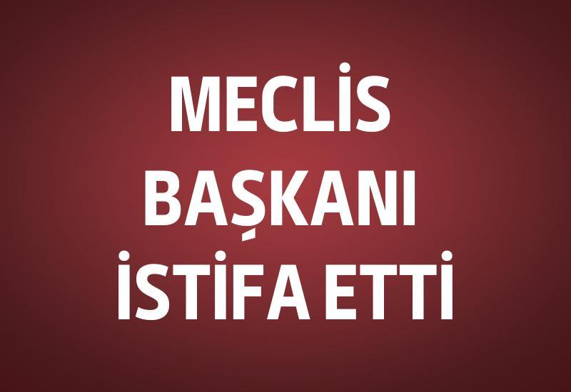 Meclis Başkanı istifa etti