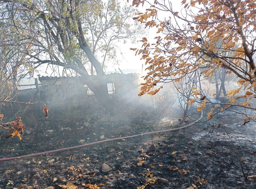 BAHÇEDE ÇIKAN YANGIN AĞAÇLIK ALANA SIÇRAMADAN SÖNDÜRÜLDÜ