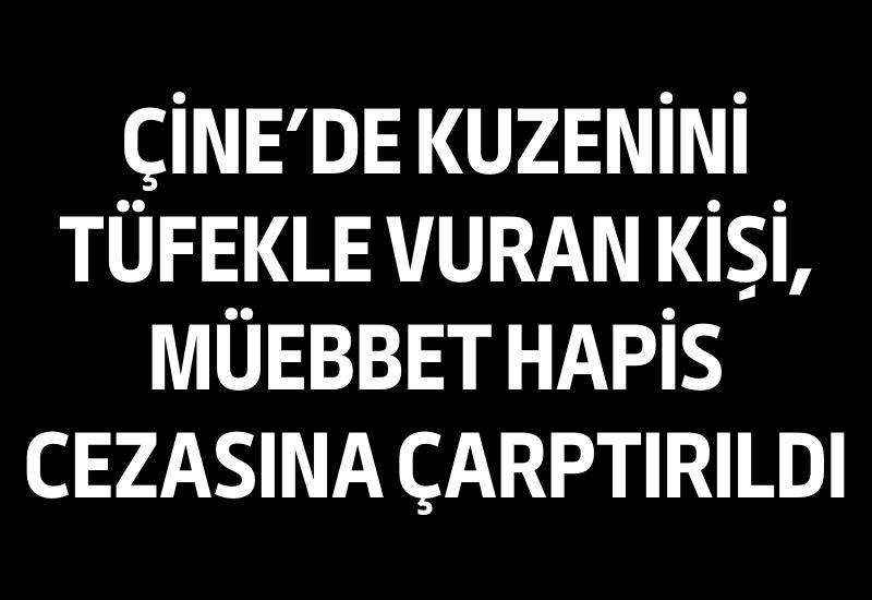 Çine’de kuzenini tüfekle vuran kişi, müebbet hapis cezasına çarptırıldı