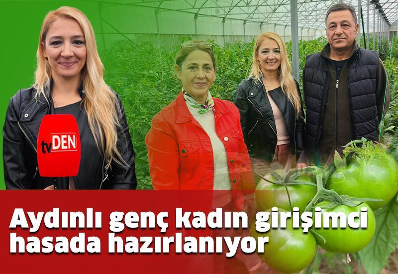 Aydınlı genç kadın girişimci hasada hazırlanıyor