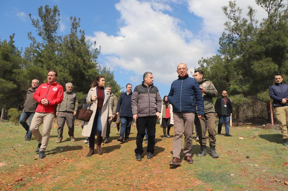 Sokak hayvanları için örnek proje