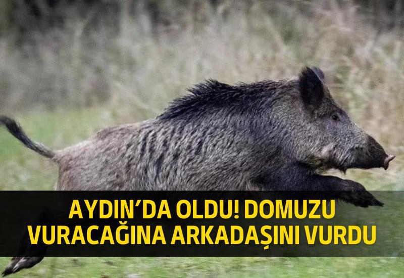 Aydın’da oldu! Domuzu vuracağına arkadaşını vurdu